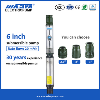 Mastra 6 Inch 2 HP Submersible Well Pump R150-DS مضخة المياه الغاطسة Walmart