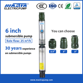 Mastra 6 بوصة مضخة مياه ماليزيا R150-DS مضخة الري حديقة