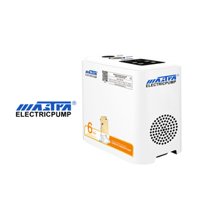 MASTRA 220V 320W الضغط العالي المنزلي MINI MINI MINTERICATION PUSTER PUST